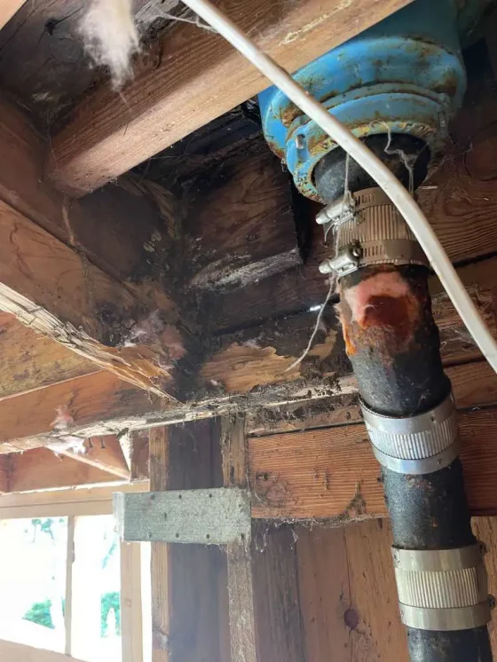Crawlspace beam damaged by dry rot near plumbing
