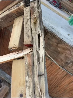 damaged-wall-framing-dry-rot-repair