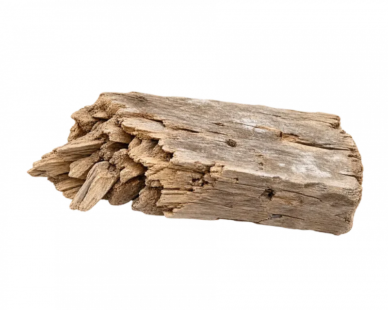 Short wood board with a shredded, crumbling end from dry rot decay