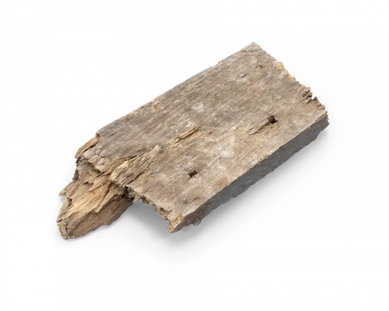 Dry rot damaged wood showing decay before repair in Cupertino CA