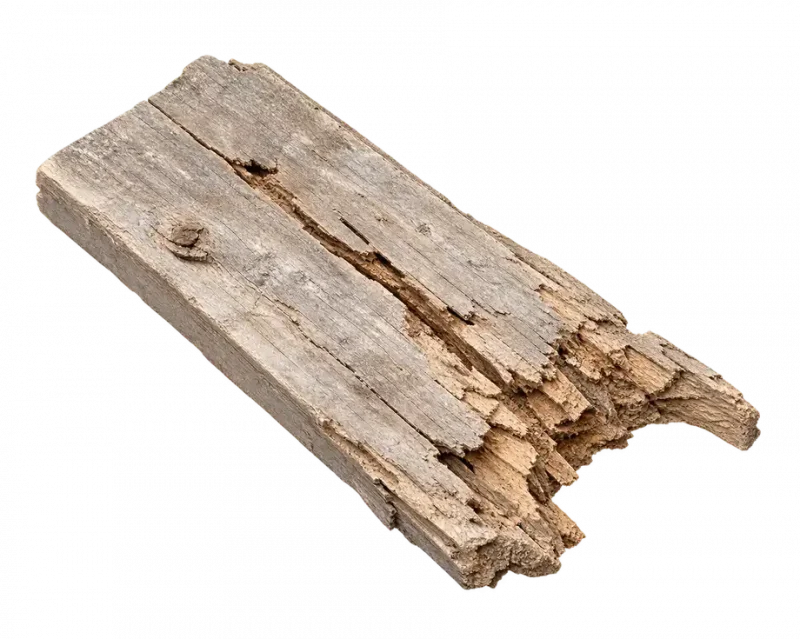 Wood board with deep cracks and a broken, rotted end from dry rot