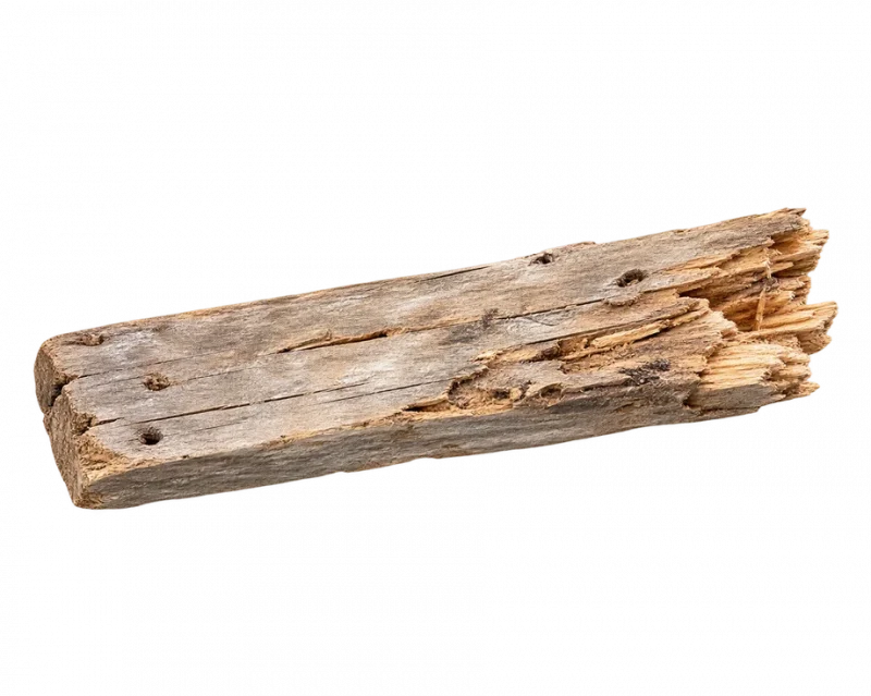 Weathered wood board with a splintered, rotted end caused by dry rot