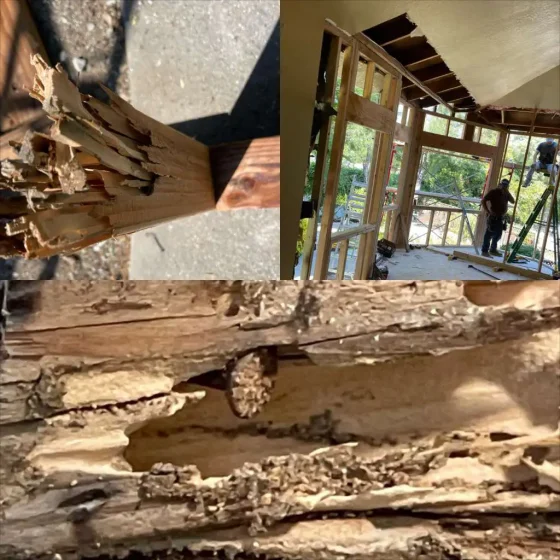 dry-rot-repair-contractor-saratoga-ca