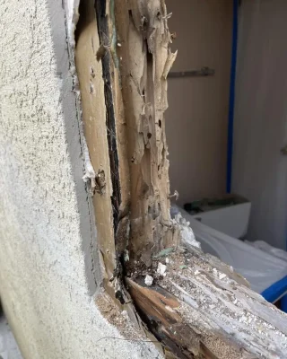 Dry rot repair damaged wood frame