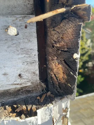 dry-rot-repair-saratoga-ca